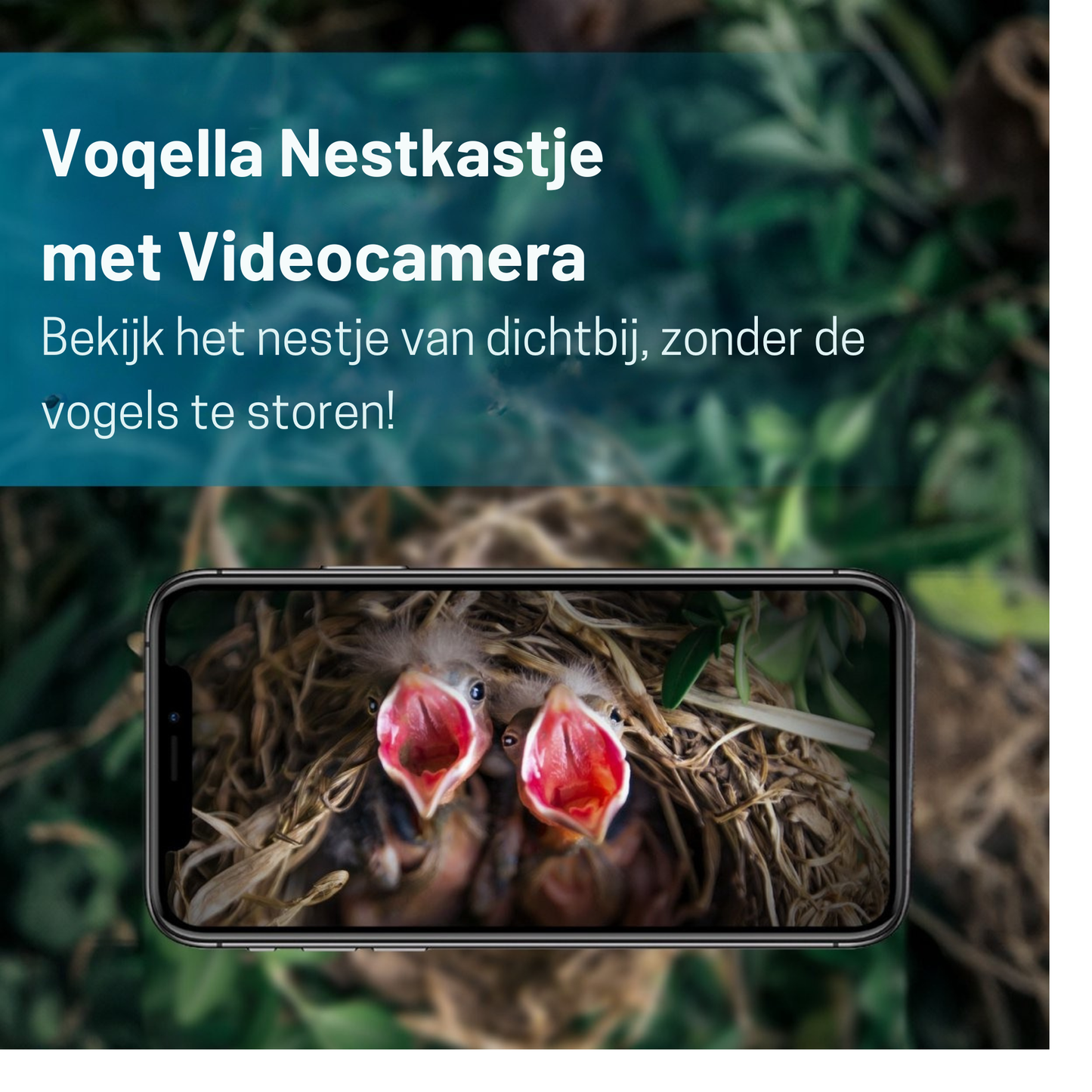 Birdhouse with camera