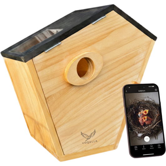 Vogelhuisje met camera