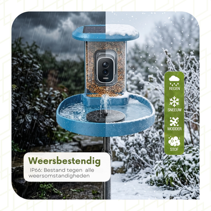 Bird Feeder with Camera - Bird Bath - Fountain