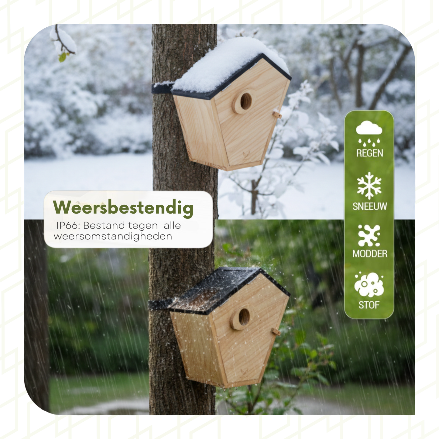 Vogelhuisje met camera