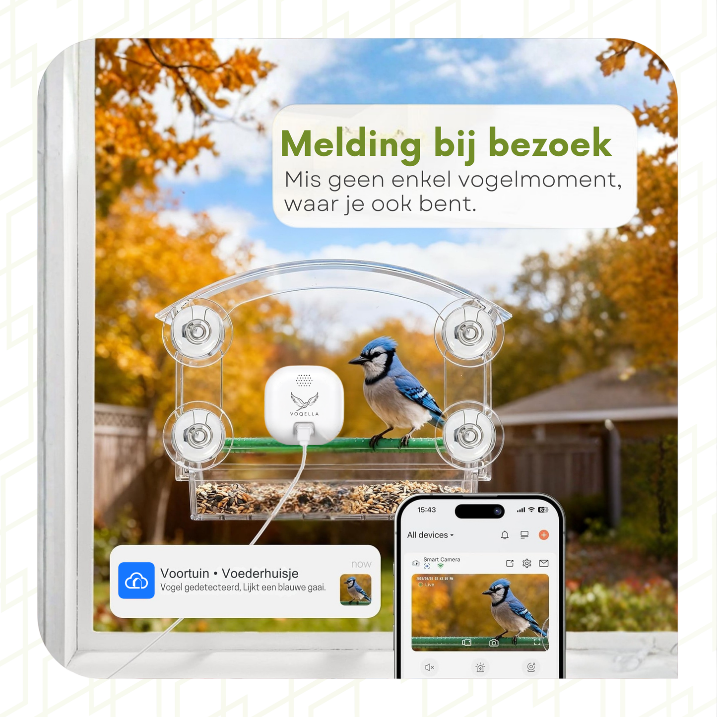 Bird Feeder with Camera - Window Mounted