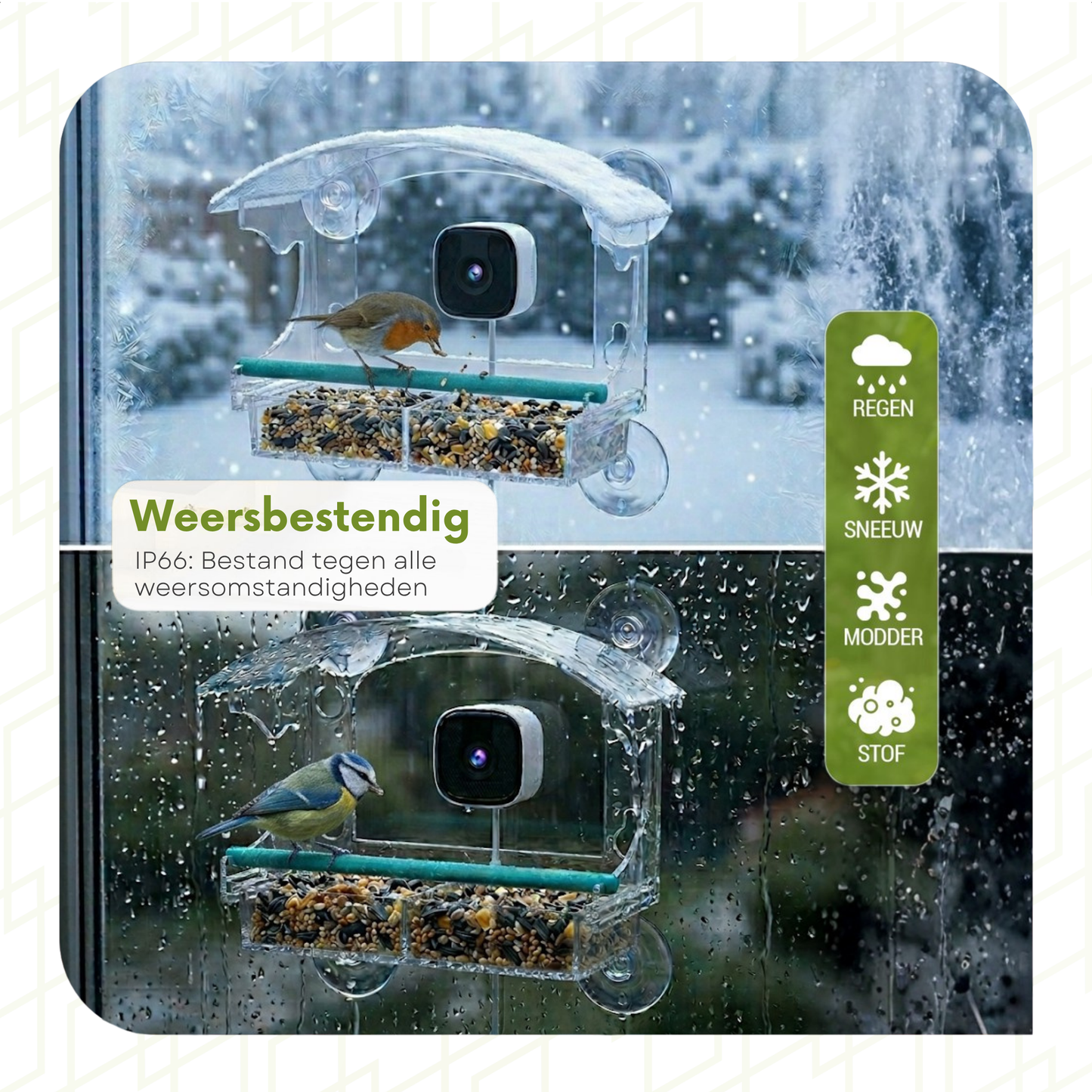 Bird Feeder with Camera - Window Mounted
