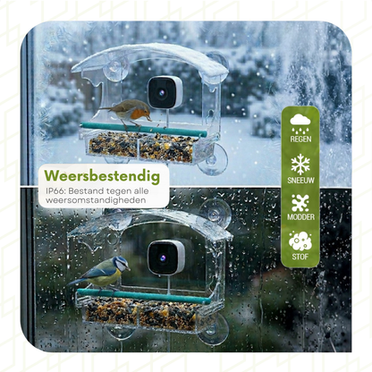 Bird Feeder with Camera - Window Mounted