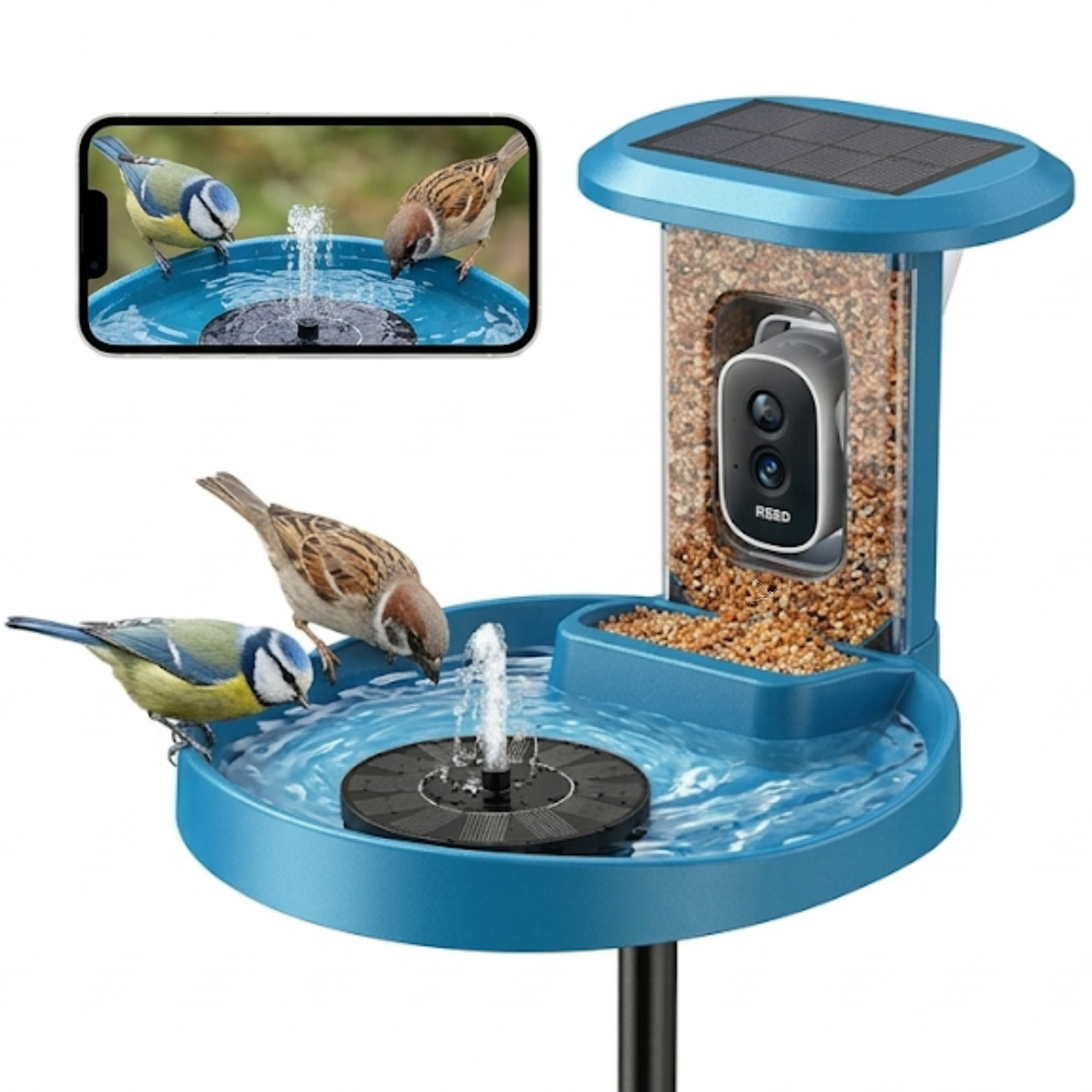 Bird Feeder with Camera - Bird Bath - Fountain