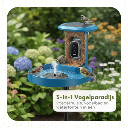 Bird Feeder with Camera - Bird Bath - Fountain