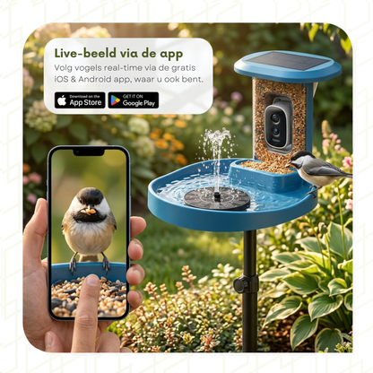 Bird Feeder with Camera - Bird Bath - Fountain