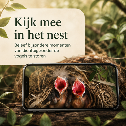 Vogelhuisje met camera