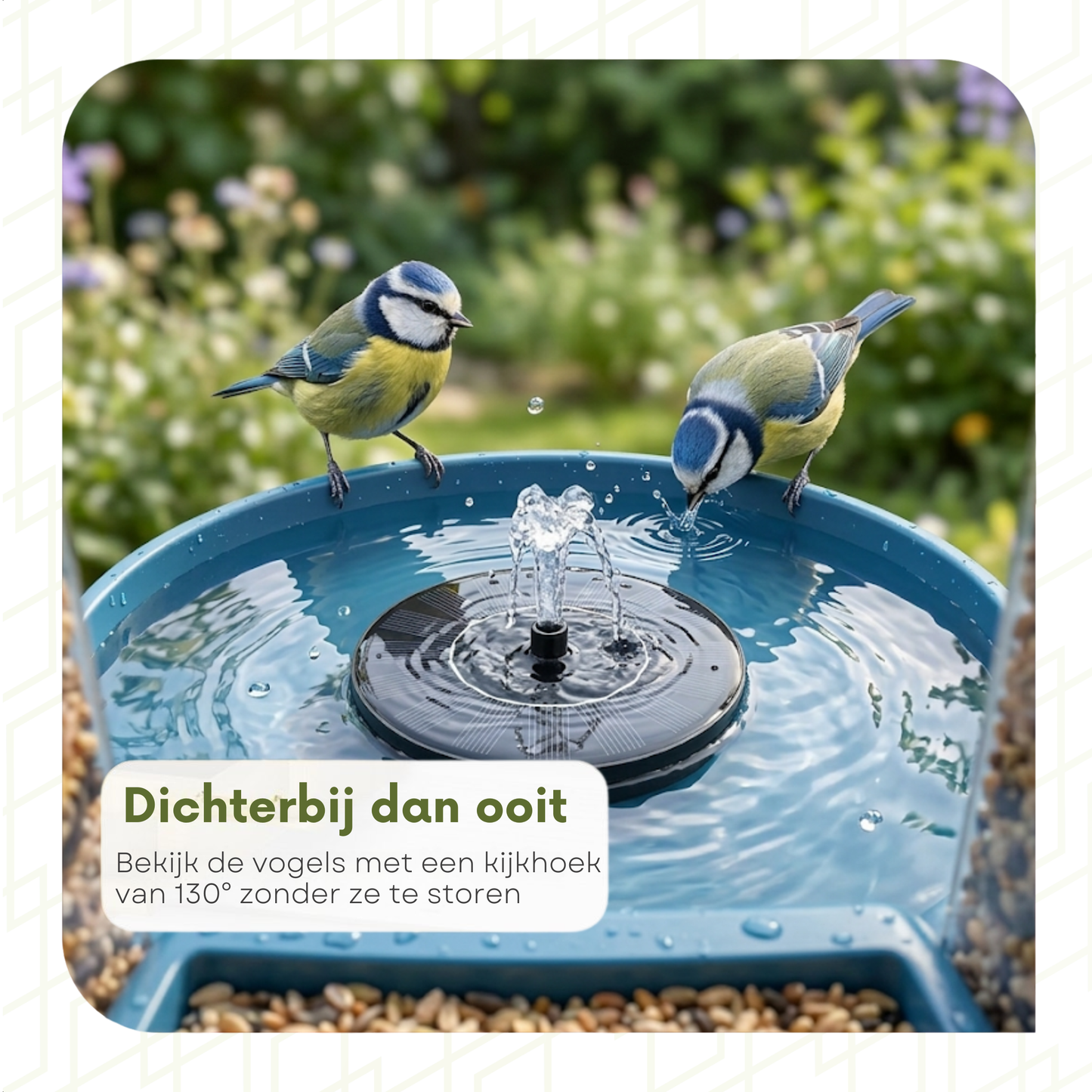 Bird Feeder with Camera - Bird Bath - Fountain