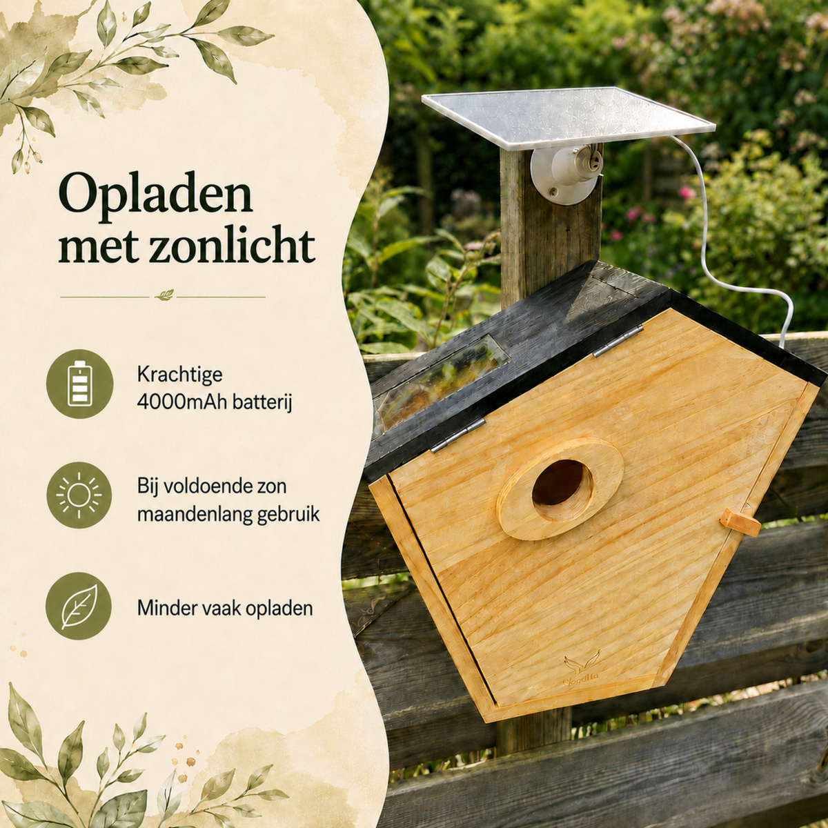 Vogelhuisje met camera