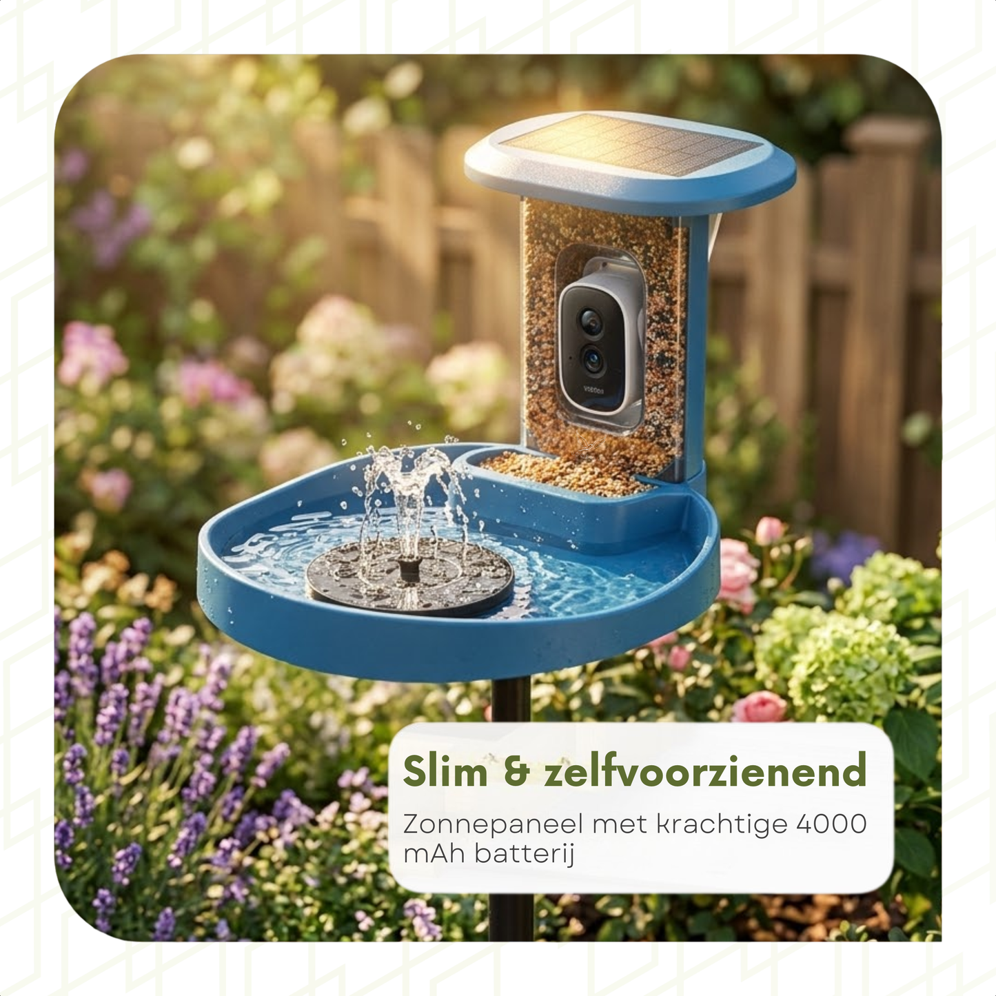 Bird Feeder with Camera - Bird Bath - Fountain
