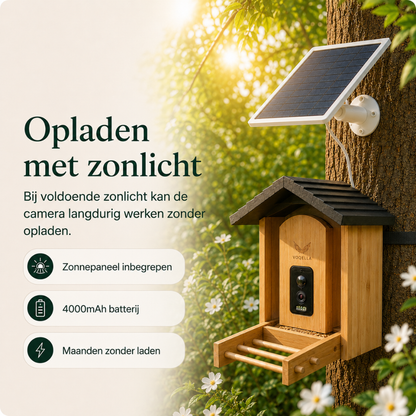 Vogelvoederhuisje met camera
