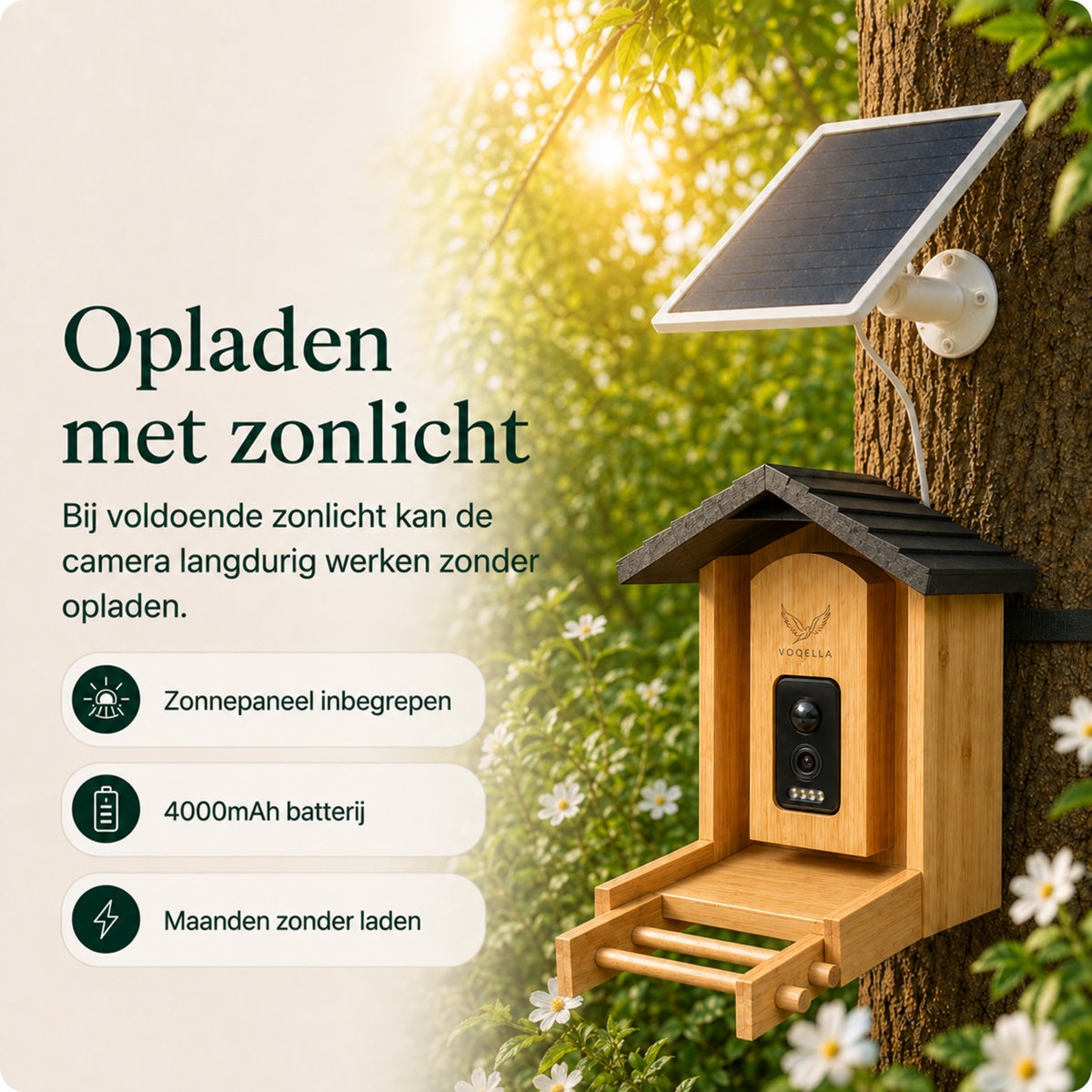 Vogelvoederhuisje met camera