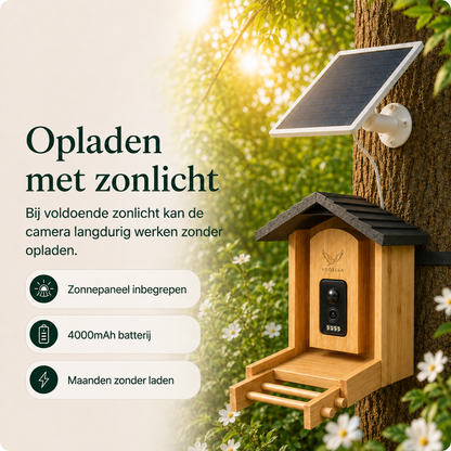 Vogelvoederhuisje met camera